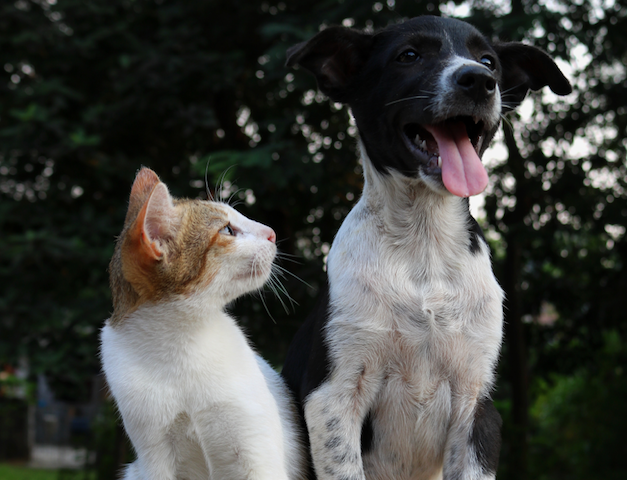 Do You Know About Gum Sensitivity and Tartar?