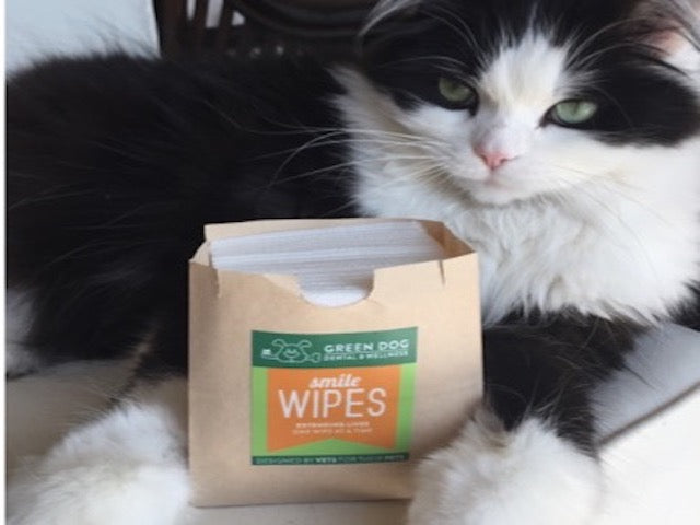 What Are Dental Wipes?