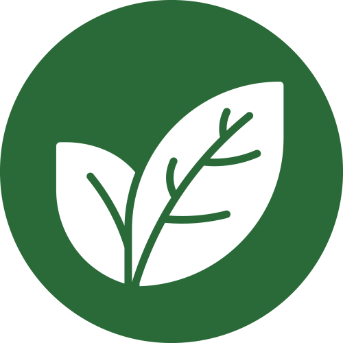 Dermatology and Skin Allergies